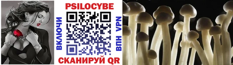 Псилоцибиновые грибы GOLDEN TEACHER  цена наркотик  hydra зеркало  Нижние Серги 